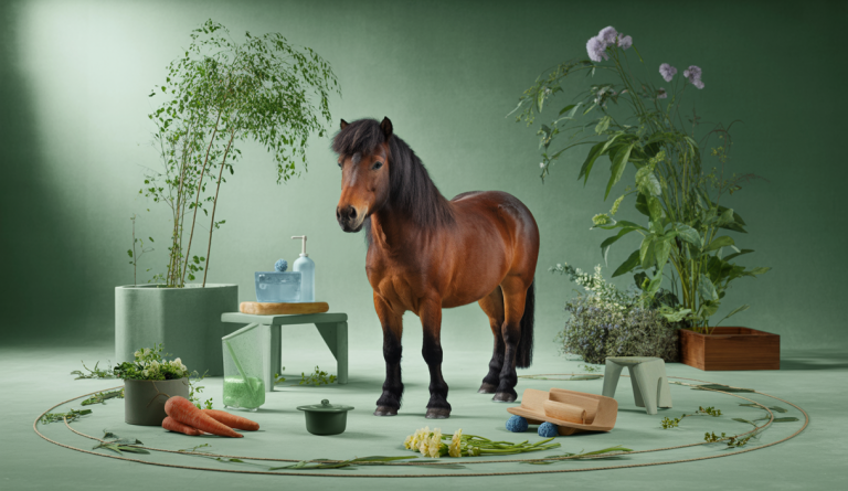 Illustration captivante sur le bien-être des poneys.